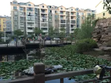 此房满五不唯一,顶楼复式,精装修拎包入住,户型方正