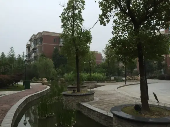 仙龙湾实景图
