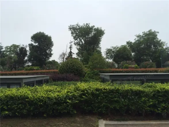 保利紫晶山别墅实景图