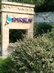 金波揽月3室2厅西南