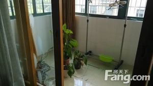 房东诚心出售.采光亮.精装修.顶复