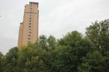 少有联排,院子+地下室+车库+露台,商场公园旁