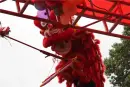 鹤山坚美园活动现场图