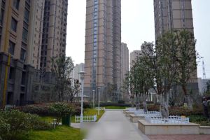 采光好,没噪音,大两房,户型好,价格好