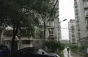 竹园小区实景图