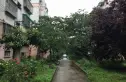 竹园小区实景图