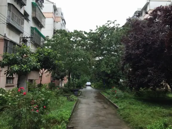 竹园小区实景图