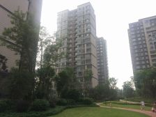 栖霞区仙林湖万科金色领域小区车位