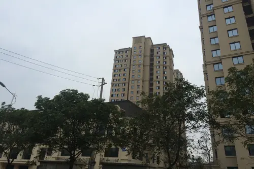 风景城邦·塞纳河畔实景图小区实景图（2015-11-9）