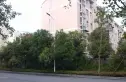 东甘新村实景图