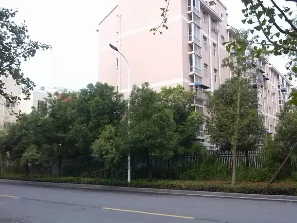 东甘新村实景图