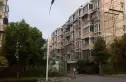 东甘新村实景图