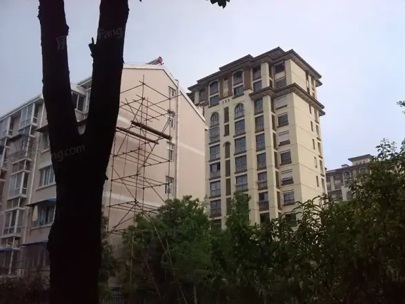 东甘新村实景图