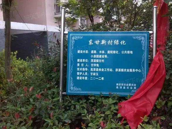 东甘新村实景图