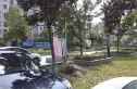 栖凤花园实景图