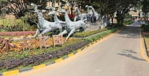 高尔夫名镇’东莞塘厦镇,紧靠观澜高尔夫球会北门