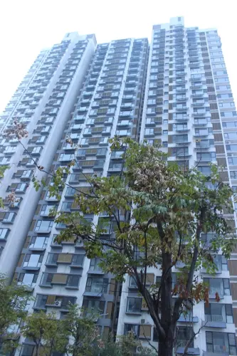 颐景蓝湾实景图项目实景图（2015-11-19）