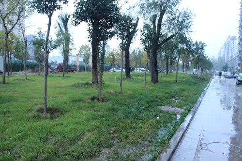 颐景蓝湾实景图项目实景图（2015-11-19）