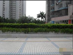 漳港 滨海花园小区 146平四房 63万