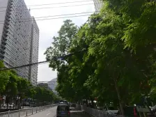 此房是电梯房,满五年不唯一,可按揭,广场地铁口!