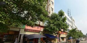 赛云台东一路4号 1室1厅 南