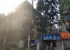 宏济新路95号 2室1厅 东南