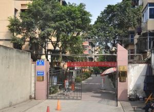 致祥路66号3室1厅南