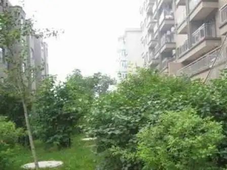  ��巼�԰2��2��1���ϱ�����1100.00Ԫ/�³��� 