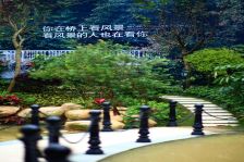 金源城大别野,边套精装别野带花园,带电梯方便看房!