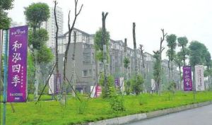 海淀西四环南北正规两居室高楼层户型方正