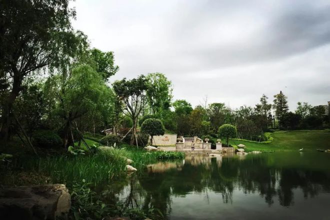 中洲中央公园实景图