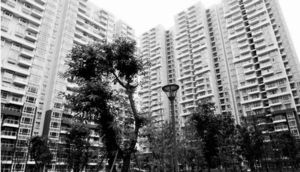 皇经嘉苑2室1厅南