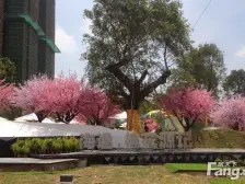 松岗桃花源记别墅5房3卫,满2年 少税看房方便