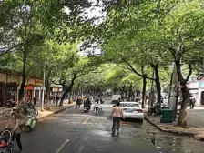 新公园路 南北通透,采光好 装修好,环镜优美 近地铁 视野好,诚心出售