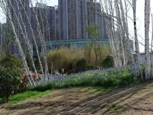 万科美景龙门 1室1厅 南