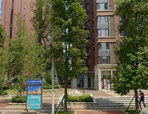 中粮祥云二期 2室1厅 西南