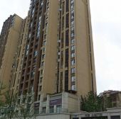 龙湖北城天街二期1室0厅东南