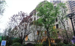 龙湖北城天街二期3室1厅南