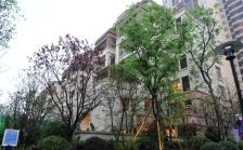 龙湖北城天街二期3室1厅南