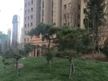 大名城B区中间楼层刚需实用三居室