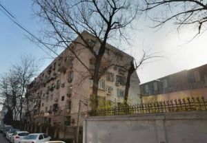阜成路南二街甲2号院2室1厅南北