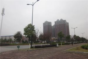 次新小区自住装修,保养好,中间楼层,前后大阳台