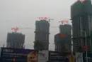 大足茂坤·观棠晓月实景图