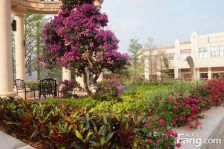 联排别墅,户型采光明亮,住家出行生活方便