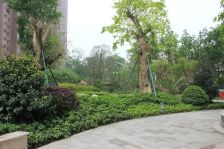 洛森堡 4室2厅 东南 西南