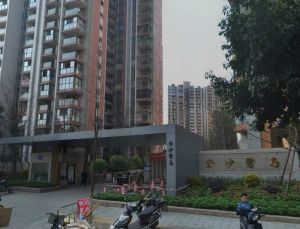 金沙鹭岛三期4室2厅东南