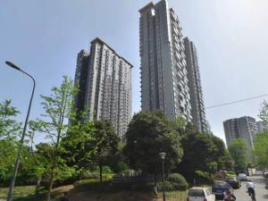 锐力领峰3室2厅东南