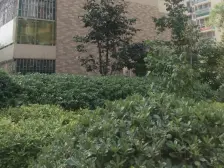 威尼斯水城二期 4室3厅 南 北