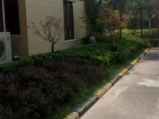 房子装修保持好 户型方正 无遮挡 阳光充足 诚心卖