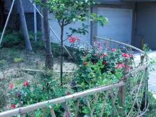 清水苑双拼别墅带边户花园,带车库和露台